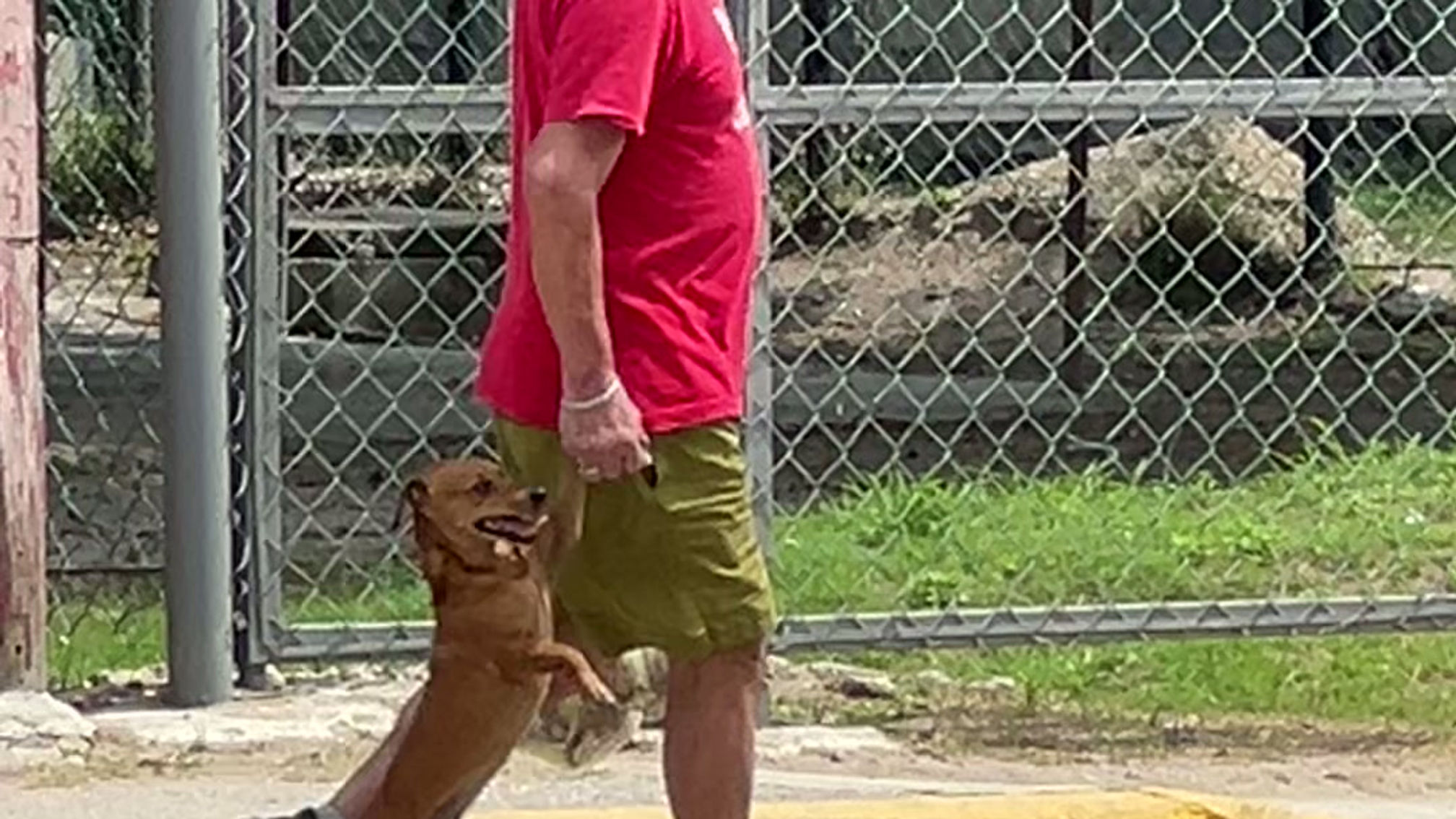 He’s walking his dog on 2 paws